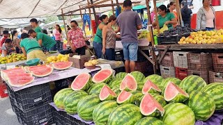 A FEIRA DE PANELASPE ACONTECEU HOJE OLHA SÓ QUEM ENCONTRAMOS [upl. by Sidhu]