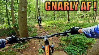 Birdsboro Preserve PA Mountain Biking Trails [upl. by Elene]