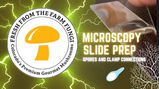 Microscope Slide Prep Observing Spores and Finding Clamp Connections [upl. by Enihpesoj479]