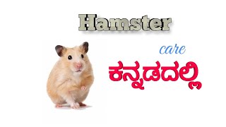 Pet hamster care in Kannada ಹ್ಯಾಮ್ ಸ್ಟರ್ ಕಾಳಜಿ ಕನ್ನಡದಲ್ಲಿ [upl. by Oech491]