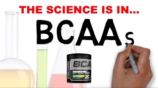 BCAA CONFUSION  WHAT DO BCAA s DO [upl. by Nnylannej]