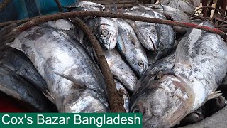 Coxs Bazar BFDC Fisheries Ghat Fishing Pier Bangladesh [upl. by Enivid]