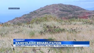 Volunteers continue work of restoring Kahoolawe after decades of bombardment [upl. by Ymor65]