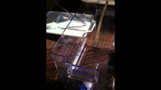 DIY water ionizer [upl. by Chari621]