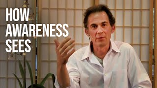 How Awareness Sees the World  Rupert Spira [upl. by Nichola420]