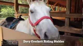 Davy Crockett Riding Stables [upl. by Albin964]