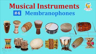 Membranophones 14 Musical Instruments Pictures amp Sounds  Ethnographic Classification  Olympiad [upl. by Raynah111]