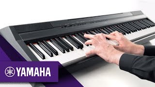 P115 Digital Piano Overview [upl. by Stanislas]