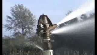 Rain Bird 85E Impact Sprinkler [upl. by Ashbey]