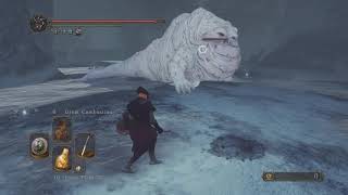 Dark Souls 2 SotFS  Covetous Demon Mini Boss Frozen Eleum Loyce [upl. by Sheply135]