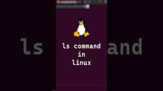 110 Basic Linux Commands  ls command Explained in 20 Seconds shorts linux [upl. by Parks]