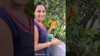 Growing fruit plants for free [upl. by Kayle]