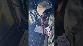 quotBoom Operator POV Refueling Fighter Jets MidAirquot [upl. by Toombs5]