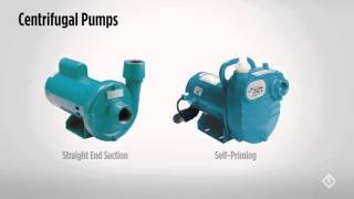 Centrifugal Pumps  The Basics [upl. by Derfliw]