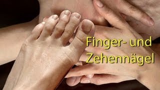 Fingernagel und Zehennagel  Trailer Schulfilm Biologie [upl. by Ahsyle]