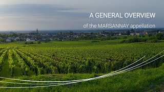 A general overview of the Marsannay appellation [upl. by Neeven]