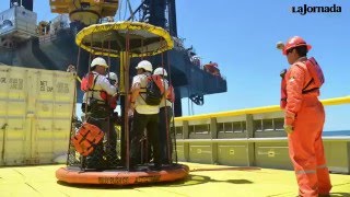 Viaje al centro del cráter Chicxulub [upl. by Mcclure]