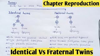 Twins  Identical And Fraternal Twins  Class 12 Biology [upl. by Nerradal]