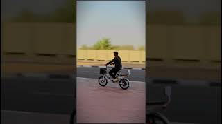 Electric Bike featuring Pedal Assist  Best in Emirates  Rafplay shorts [upl. by Eceinert229]