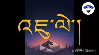 Ladakhi new lyrics song tsanmay kartsok mangpay thona [upl. by Ahsakat285]