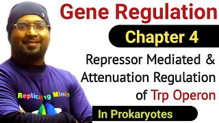 Gene Regulation  4  Trp Operon  Negative Regulation and Attenuation of Trp Operon  Sanjay Kumar [upl. by Vito]