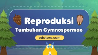 Reproduksi Tumbuhan Gymnospermae BelajarDiRumah [upl. by Conway]