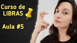 CURSO DE LIBRAS aula 05 Animais e o Medo [upl. by Niveg]