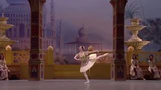 LE CORSAIRE  Pas de Trois des Odalisque Coda Bolshoi Ballet [upl. by Accebar]