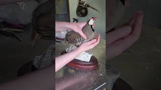 CHUKAR PARTRIDGE TAXIDERMY Part 1 [upl. by Teador]