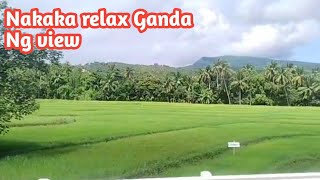 relaxing view  Pamix Vlogs [upl. by Nafri]