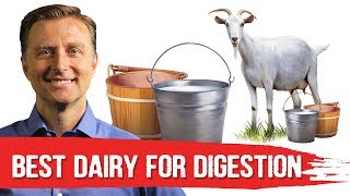 Best Dairy To Avoid Digestive Stress Lactose Intolerance – DrBerg [upl. by Atiekan478]