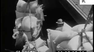 1930s New Orleans Port Cargo Ships Dock Workers [upl. by Thomson761]