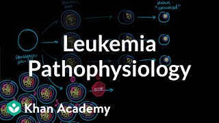 Leukemia pathophysiology  Hematologic System Diseases  NCLEXRN  Khan Academy [upl. by Navert]