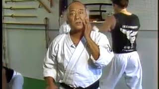 Mr Miyagi at Frank Dux Dux Ryu Ninjitsu Dojo [upl. by Hanson449]