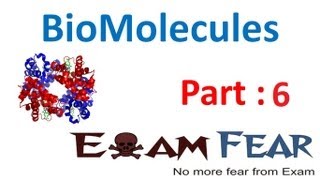 Chemistry Biomolecules part 6 Glucose Structure open chain Fisher CBSE class 12 XII [upl. by Armando]