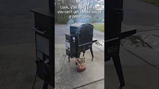 Real smoke flavor from a pellet grill shorts shortvideo short pelletgrill [upl. by Gilles]