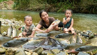 Encounter a huge school of fish  catch fish and trap fish on a rainy day  cook with your children [upl. by Allisirp]