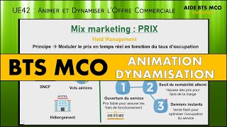 AIDE BTS MCO  Comment moduler les PRIX et stratégie marketing   U42 ANIMATION et DYNAMISATION [upl. by Garreth]