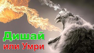 ПРАВИ Диафрагмено Дишане  ВИЖ 3те Техники за Дишане  Съвети за Правилно Дишане  Иво Игнатов [upl. by Caraviello]