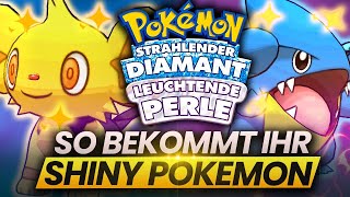 SO BEKOMMT IHR SHINY POKEMON amp PokeRadar Guide  Strahlender Diamant amp Leuchtende Perle Shiny Hunt [upl. by Bautram]