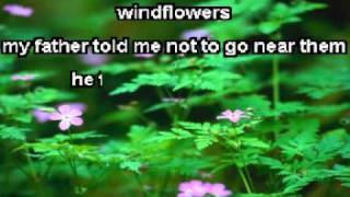 Windflowers Karaoke with Backups  Seals and Croftsmp4 [upl. by Hagile]