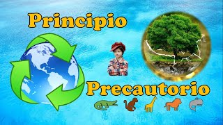 ¿Qué es el Principio Precautorio [upl. by Peyton]