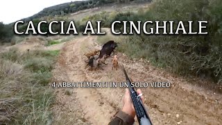 Caccia al cinghiale  caccia in Italia  caccia con il segugio maremmano  Andiamo A Caccia Con Ep 5 [upl. by Natalie848]