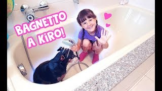 🐶💦Facciamo il bagnetto a Kiro 💦🐶 [upl. by Acina]