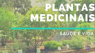 Plantas Medicinais a cura pela natureza  Saúde é Vida [upl. by Jeffie]