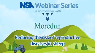 Reducing the risk of reproductive diseases in sheep [upl. by Finah]