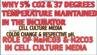 Why 5 CO2 and 37 degrees Temp maintained in the incubator II Xgene and proteinX [upl. by Craddock]