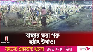 দাম বাড়াতে গরুর কৃত্রিম সংকটের অভিযোগ  Qurbani Hat  Independent TV [upl. by Elma]