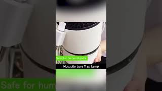 Say Goodbye to Mosquitoes 🌟 Electric Insect Killer Lamp in Action [upl. by Ayekin974]