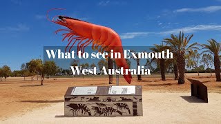 What to see in Exmouth West Australia [upl. by Yelyak]